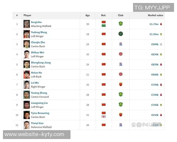 德国转会市场网发布2025年中超联赛球员身价年终更新引发关注